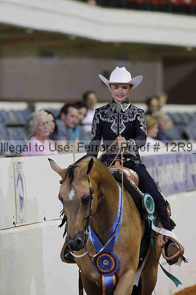 Proof Number 12r9_4159