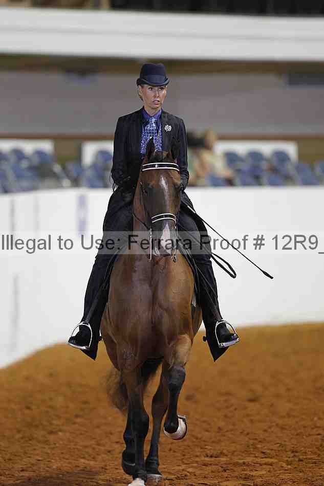 Proof Number 12r9_4169