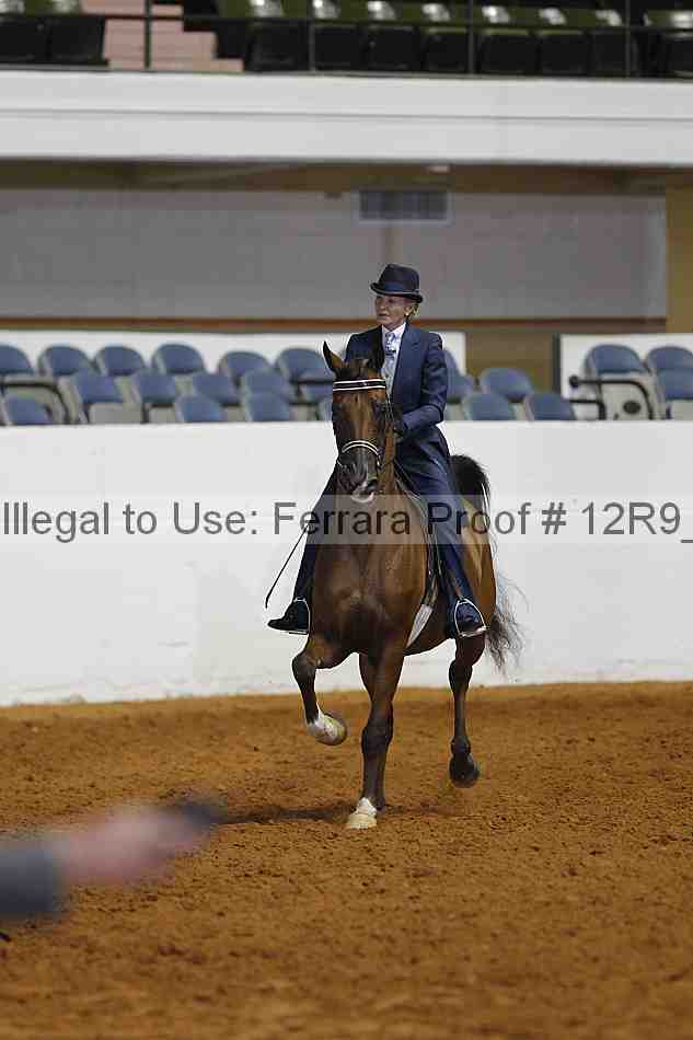 Proof Number 12r9_4182