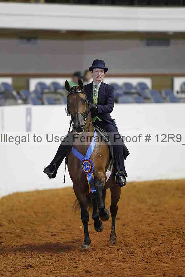 Proof Number 12r9_4250