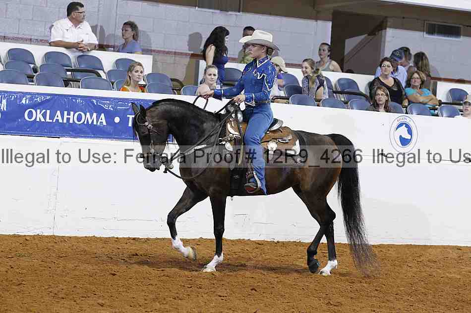 Proof Number 12r9_4266