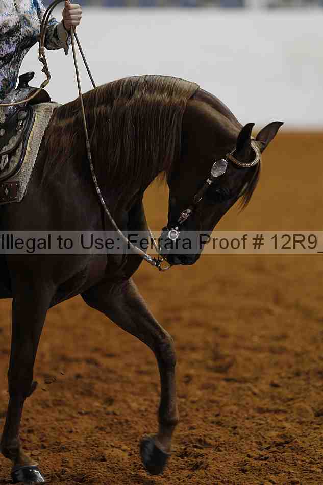 Proof Number 12r9_4269