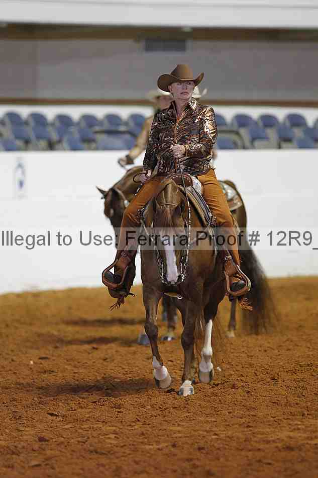Proof Number 12r9_4282