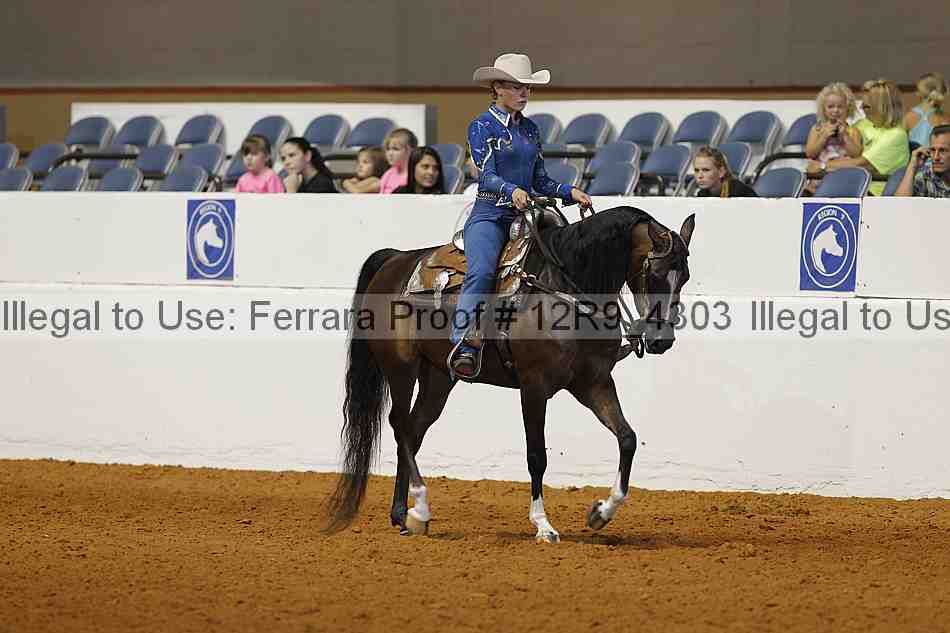 Proof Number 12r9_4303