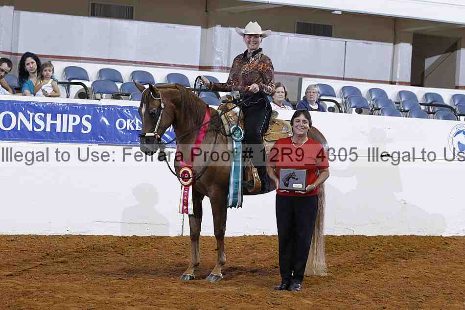 Proof Number 12r9_4305