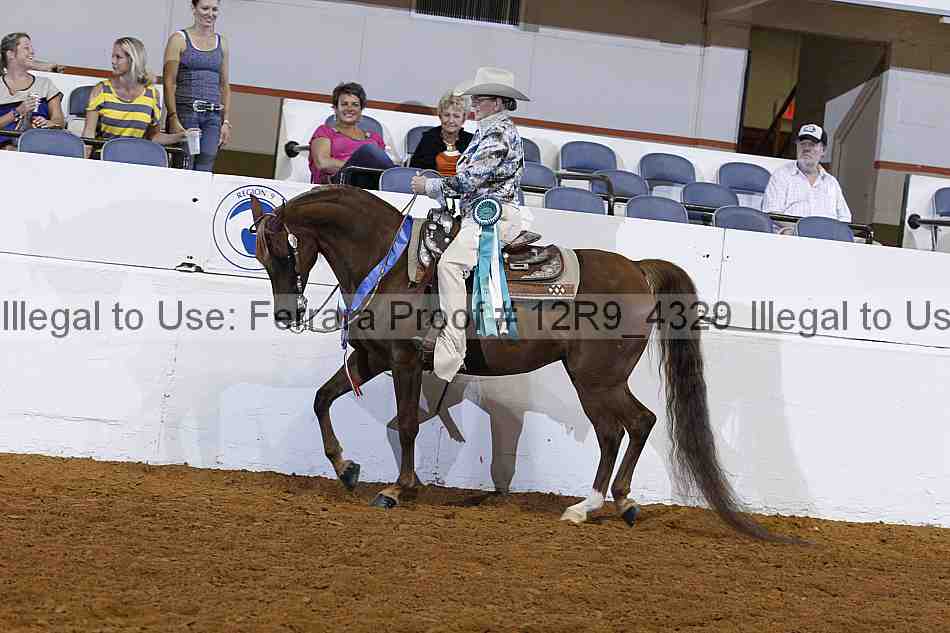 Proof Number 12r9_4329