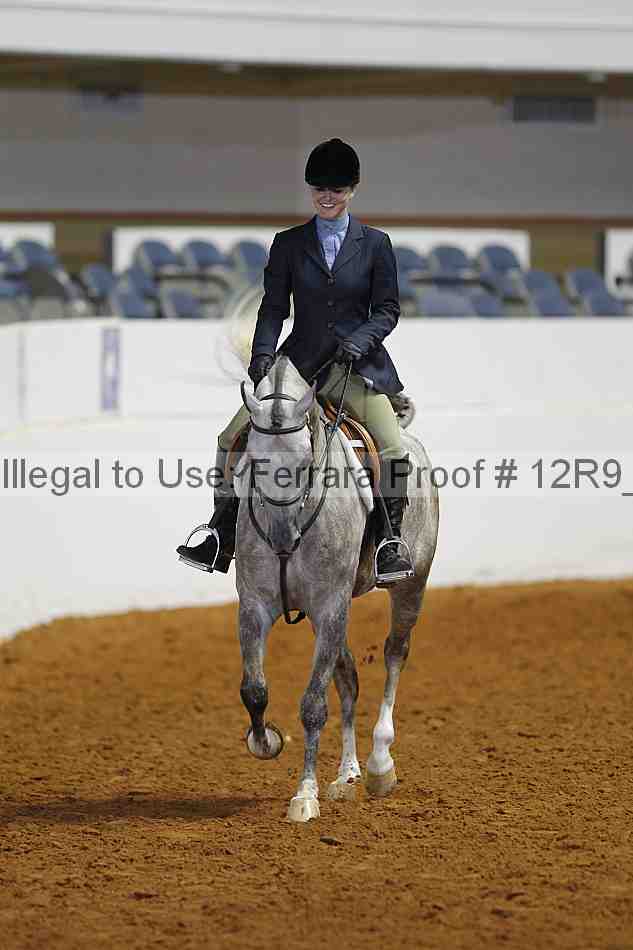 Proof Number 12r9_4363