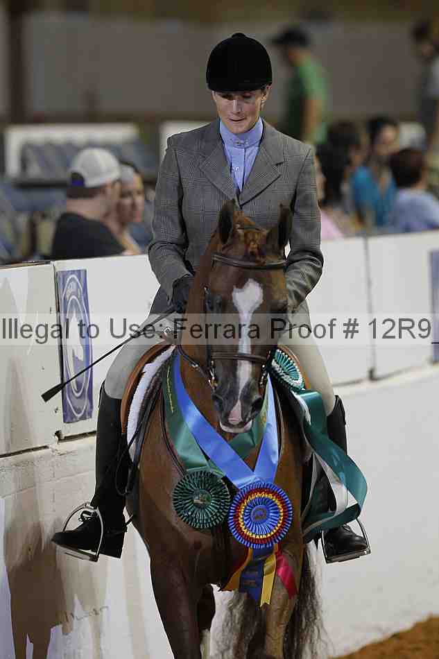 Proof Number 12r9_4374