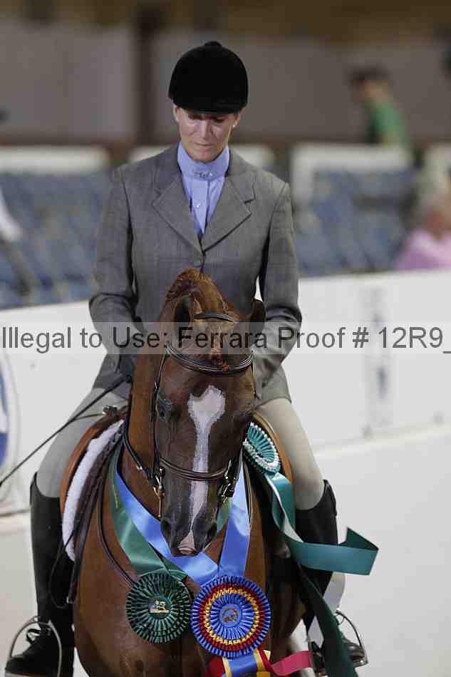 Proof Number 12r9_4376