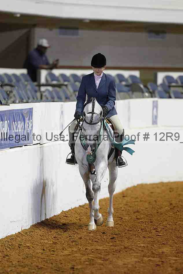 Proof Number 12r9_4378