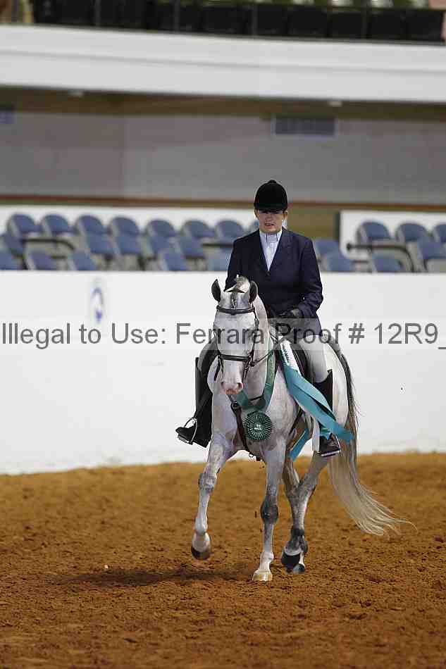 Proof Number 12r9_4380