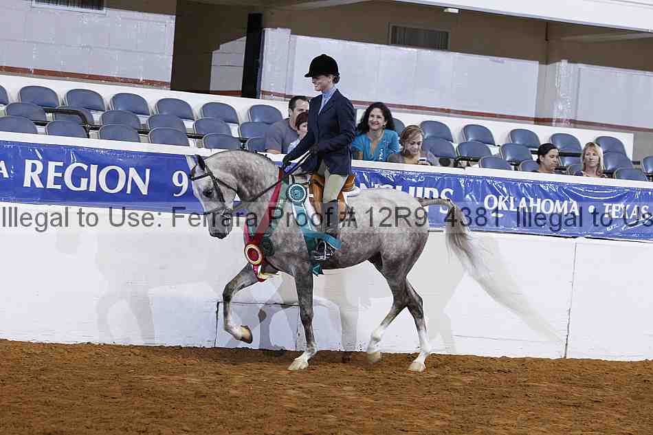 Proof Number 12r9_4381