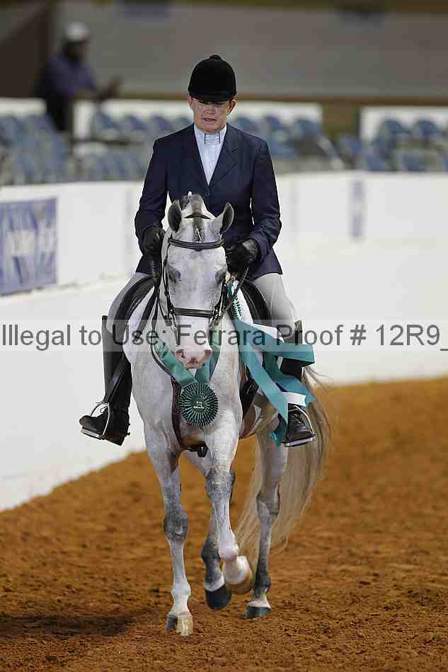 Proof Number 12r9_4383