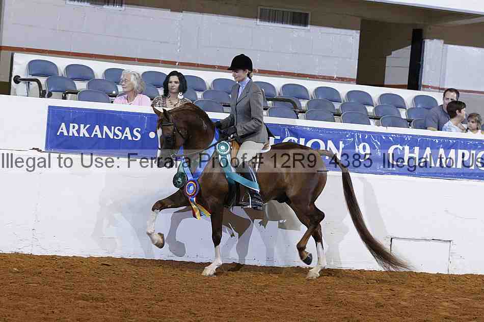 Proof Number 12r9_4385