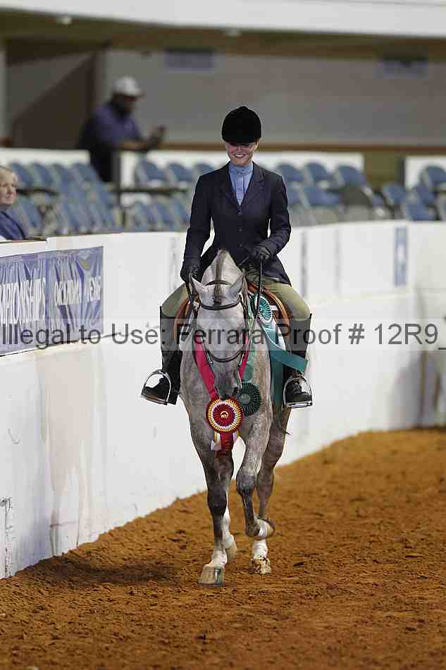 Proof Number 12r9_4389