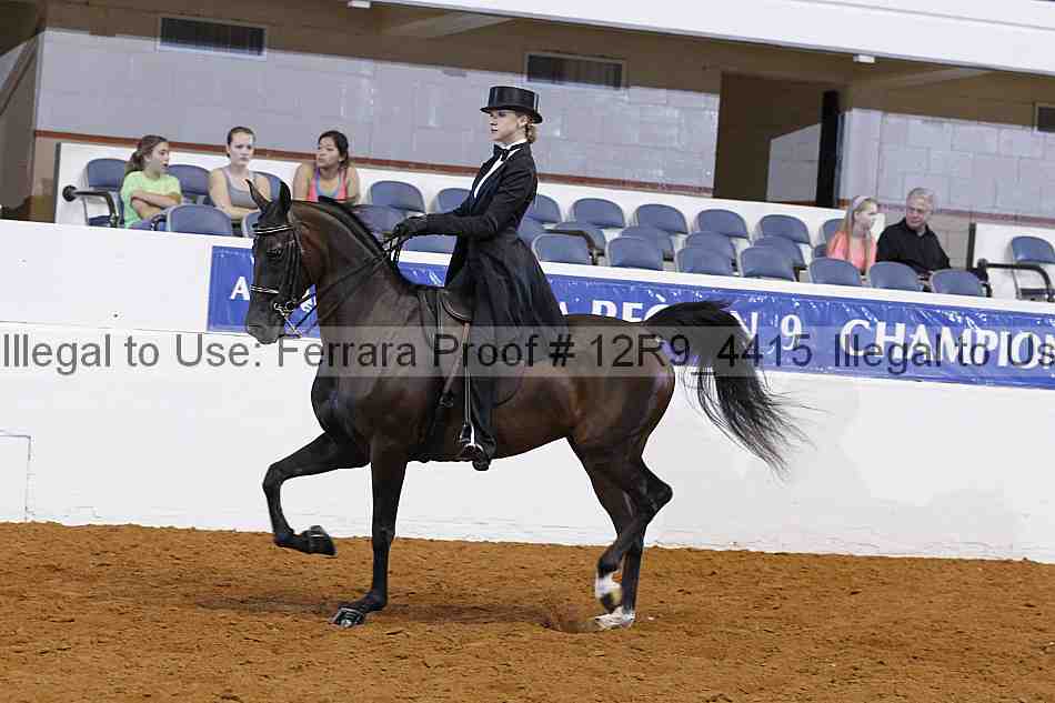 Proof Number 12r9_4415