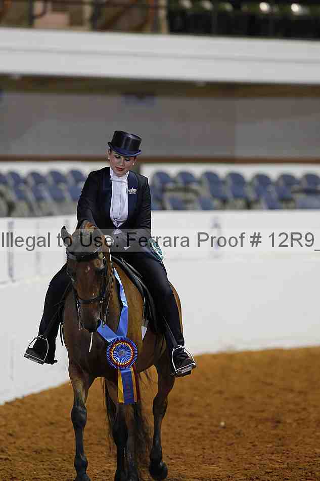 Proof Number 12r9_4437