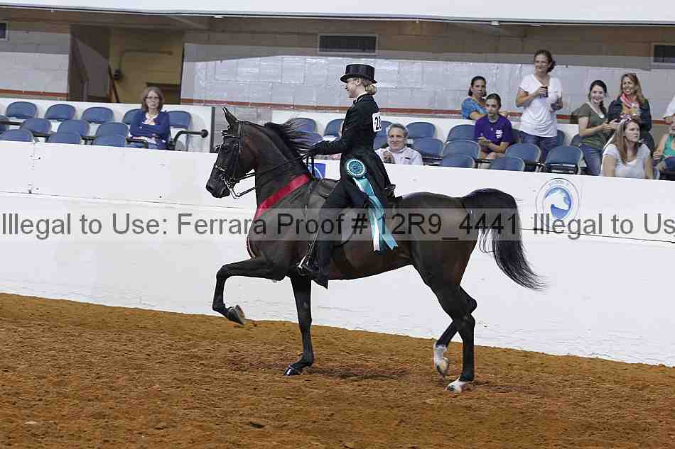 Proof Number 12r9_4441