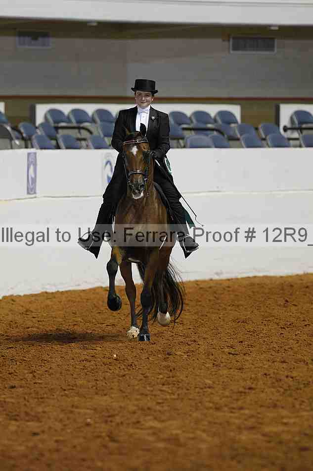 Proof Number 12r9_4444