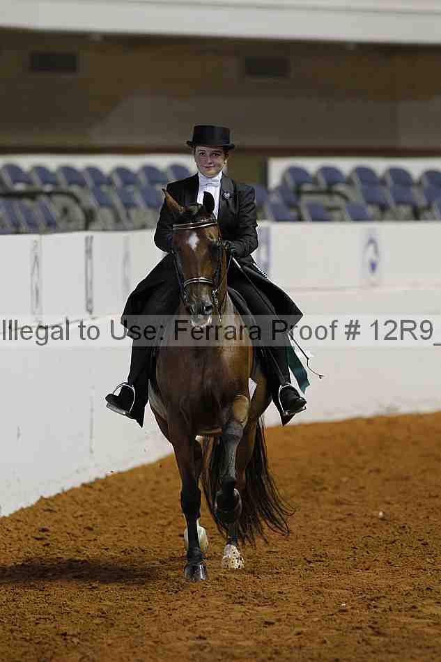 Proof Number 12r9_4446