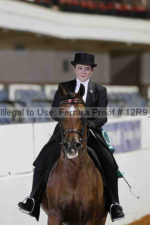 Proof Number 12r9_4448