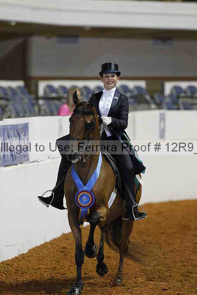 Proof Number 12r9_4453