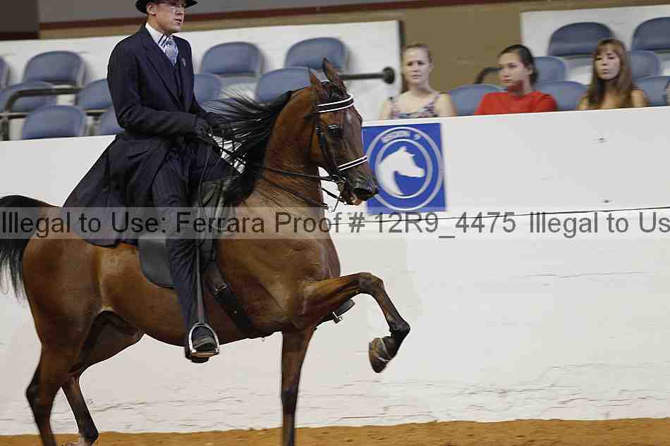 Proof Number 12r9_4475