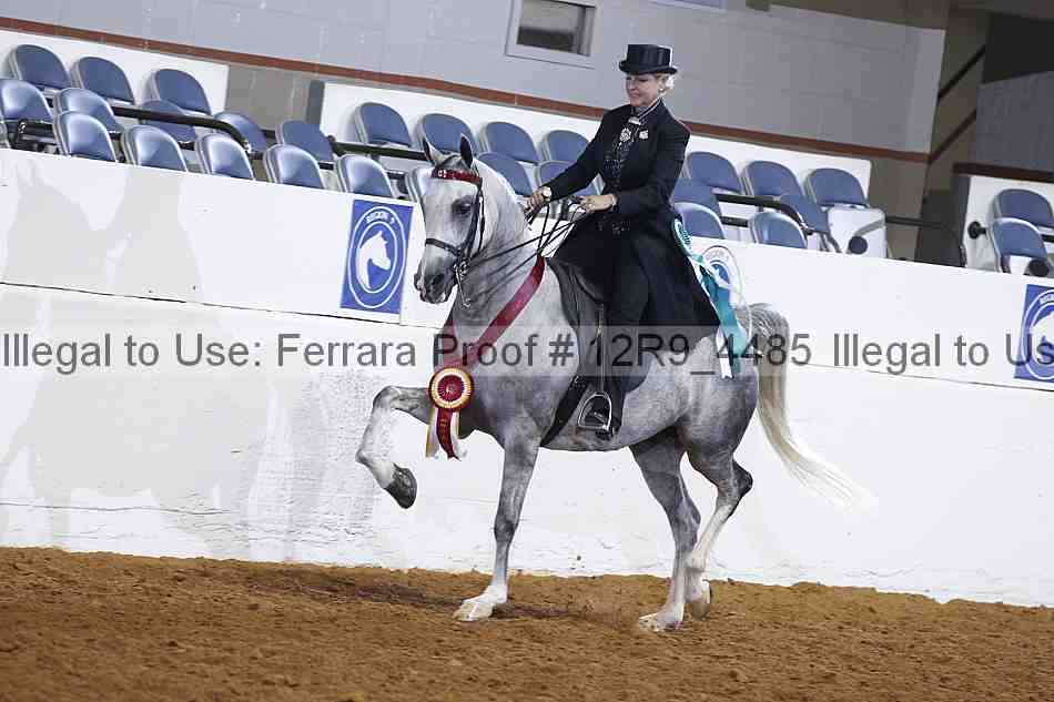 Proof Number 12r9_4485
