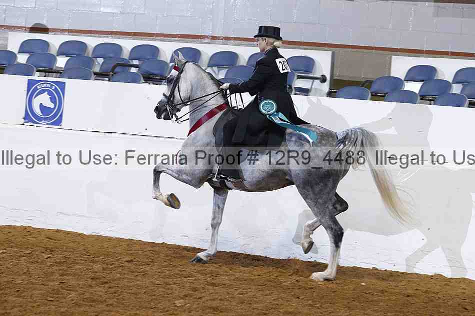 Proof Number 12r9_4488
