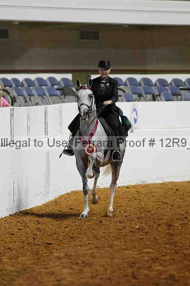 Proof Number 12r9_4494