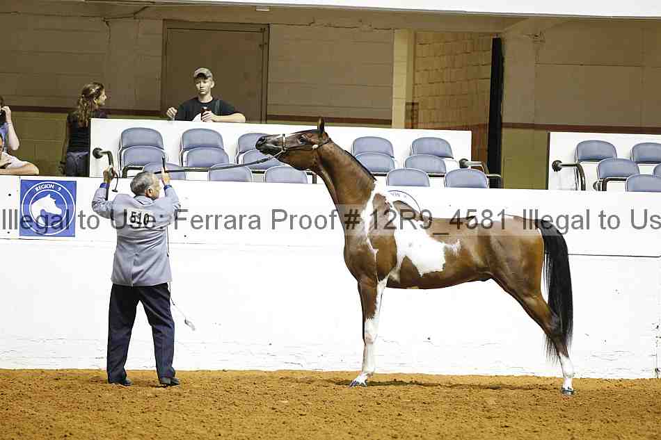 Proof Number 12r9_4581