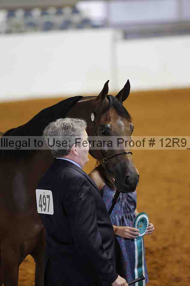 Proof Number 12r9_4595