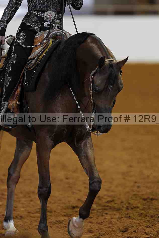 Proof Number 12r9_4760