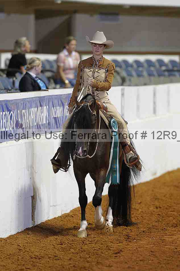 Proof Number 12r9_4795