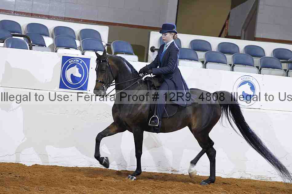 Proof Number 12r9_4808