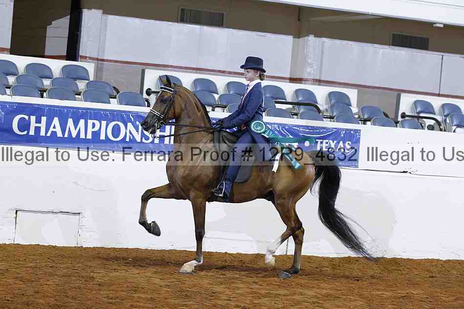 Proof Number 12r9_4832