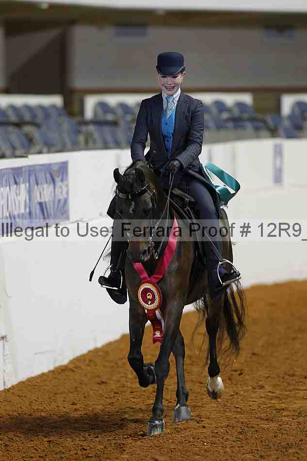 Proof Number 12r9_4840