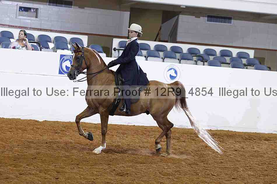 Proof Number 12r9_4854