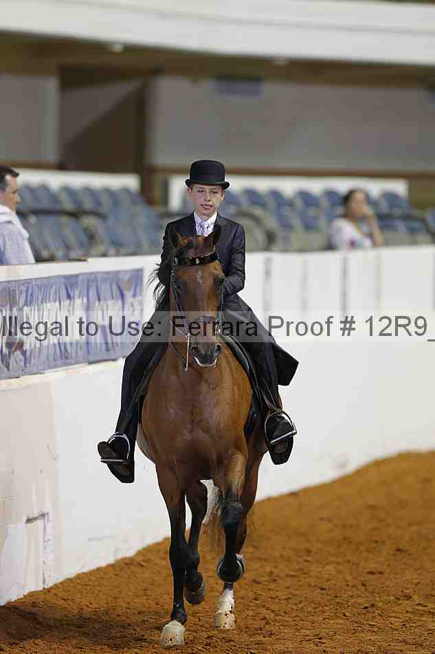 Proof Number 12r9_4864