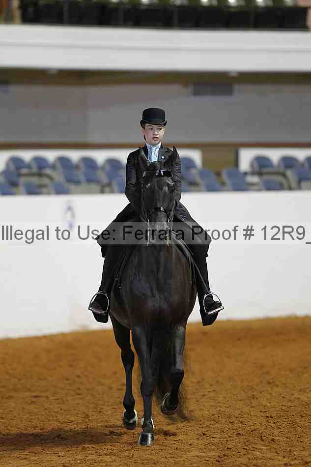 Proof Number 12r9_4874