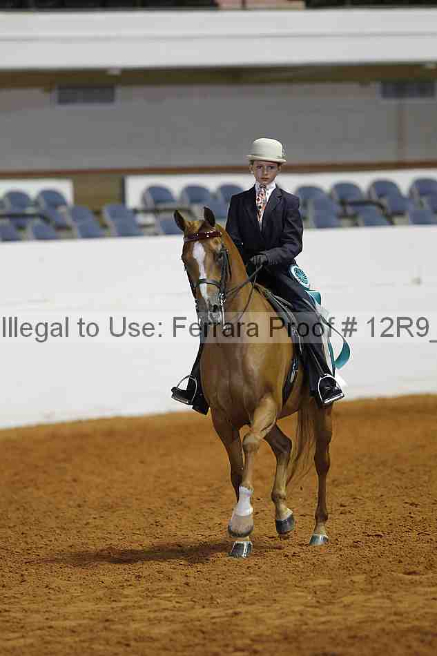 Proof Number 12r9_4902