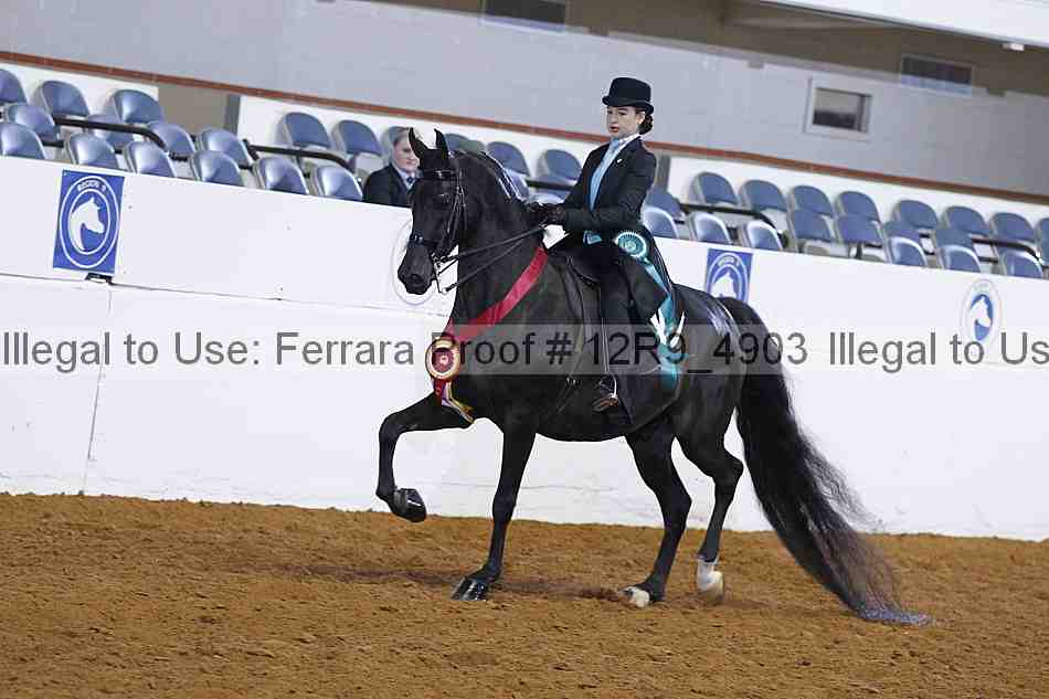 Proof Number 12r9_4903