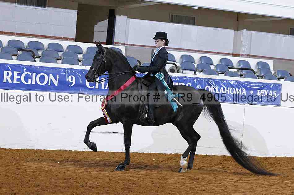 Proof Number 12r9_4905