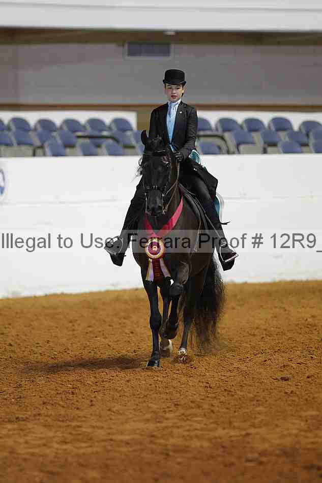 Proof Number 12r9_4909