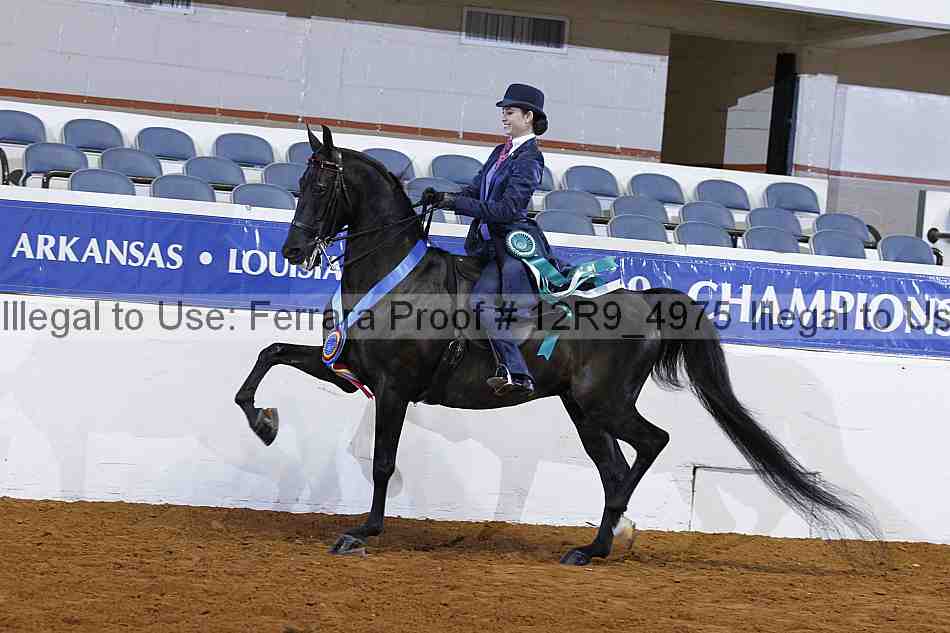 Proof Number 12r9_4975