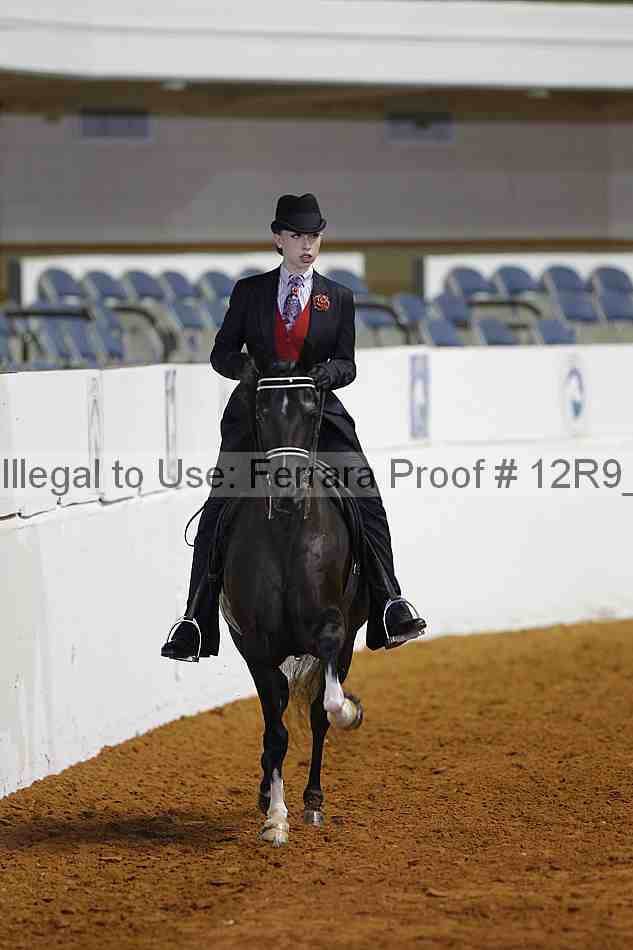 Proof Number 12r9_5000