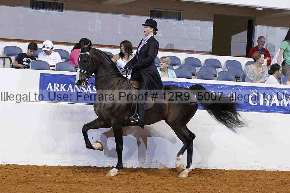 Proof Number 12r9_5007