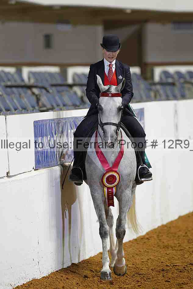 Proof Number 12r9_5014