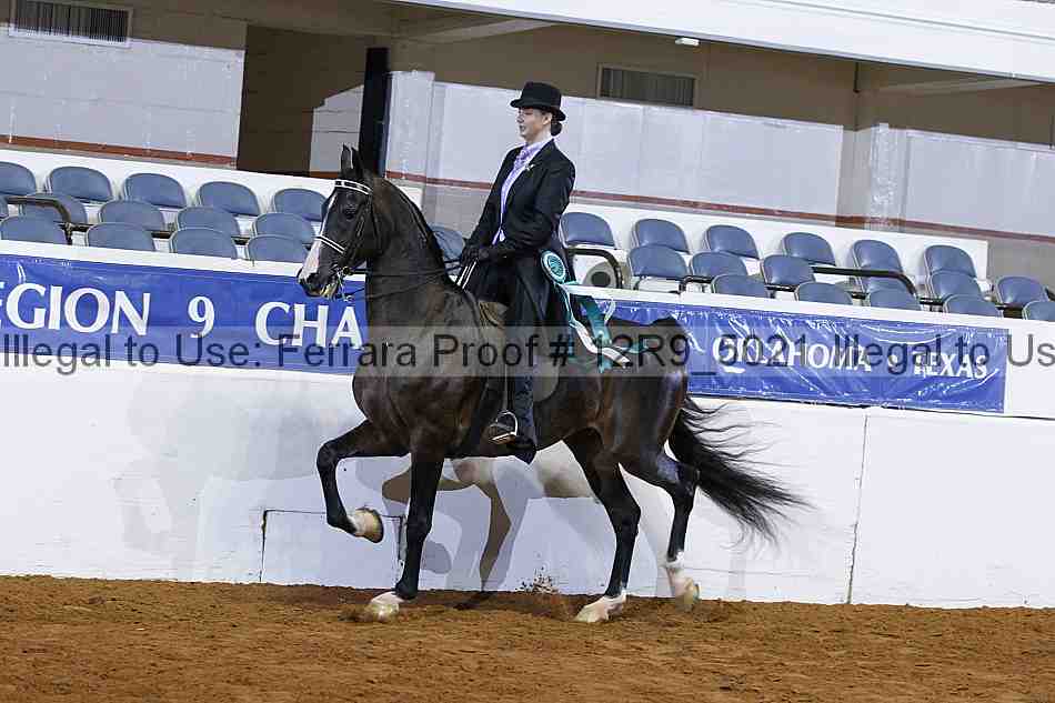 Proof Number 12r9_5021