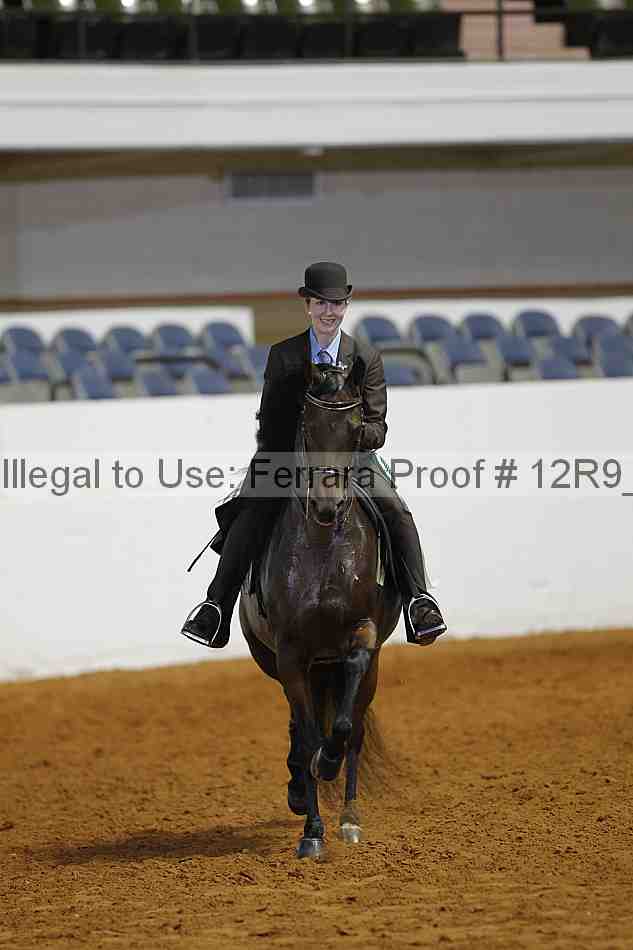Proof Number 12r9_5022